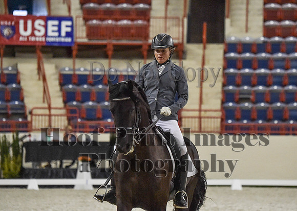 CWdressageI(8-20-16)1225