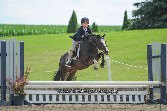 SC(6-28-14)SMPony0035