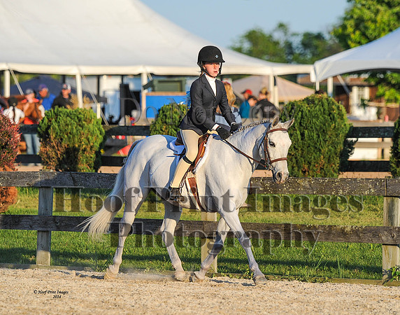 BRSa(5-17-14)SMChP0112