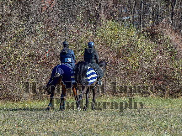 FairHillFallPC(11-30-24)0159