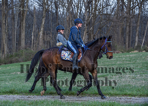 ChesapeakeSpring(4-10-22)0385
