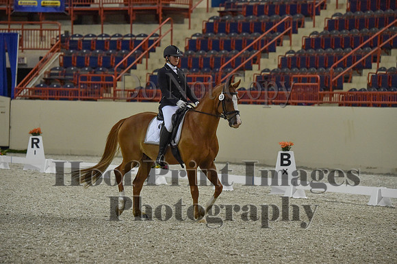 CWdressageI(8-20-16)0500
