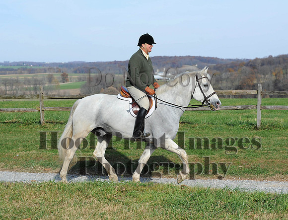 AndrewsBr(11-9-14)0627
