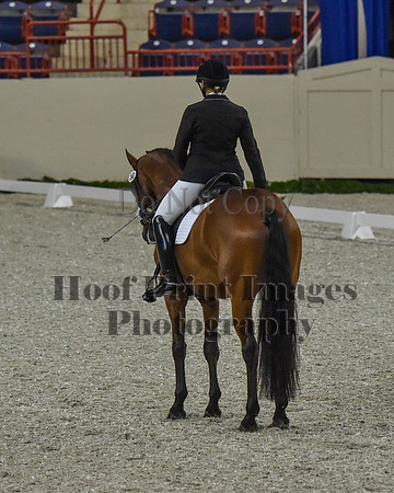 CWdressageII(8-21-16)0130