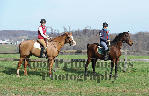 AndrewsBr(11-9-14)0391