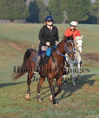 Foxcatcher(4-12-14)0482