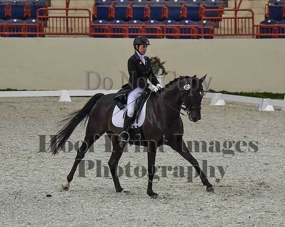 CWdressageII(8-21-16)0676