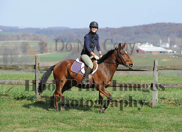 AndrewsBr(11-9-14)0309