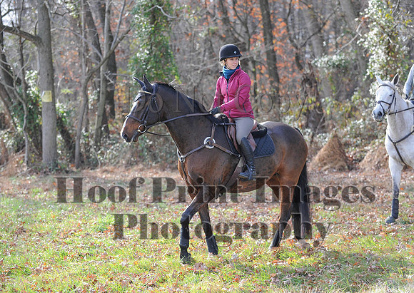 AndrewsBr(11-9-14)0569