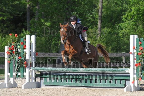 BRSa(5-17-14)SMChP0048