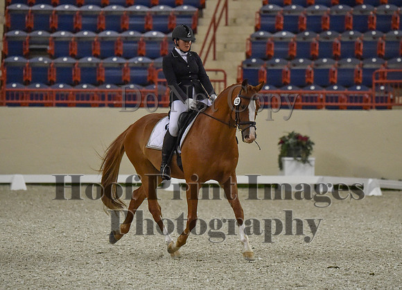 CWdressageI(8-20-16)0495