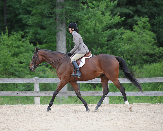 SL(6-21-14)ModAdtHun0082