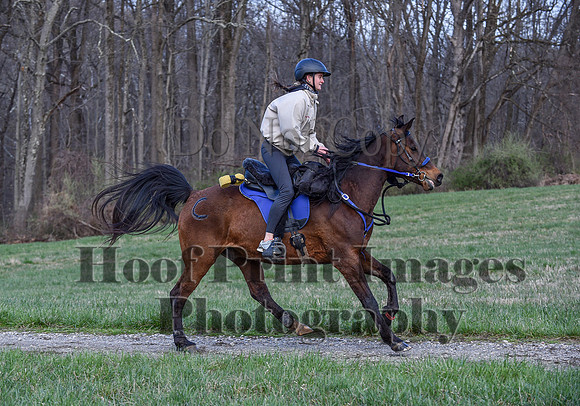 ChesapeakeSpring(4-10-22)0327
