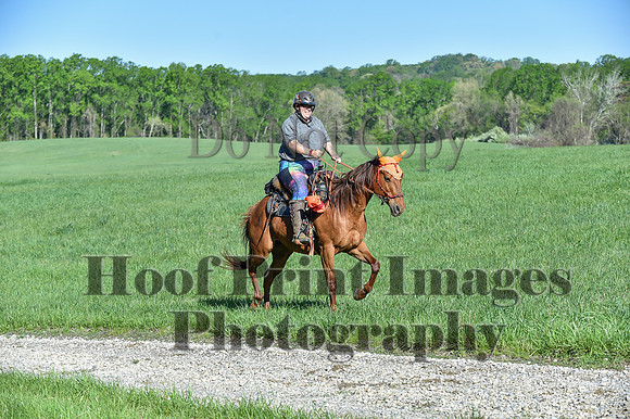 ChesapeakeSpring(4-27-25)0351