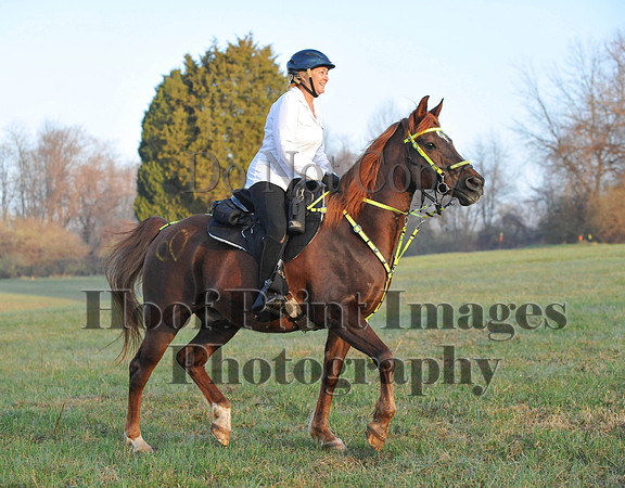 Foxcatcher(4-12-14)0209