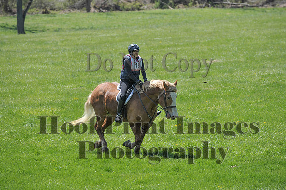 CheshirePC(4-16-16)0222
