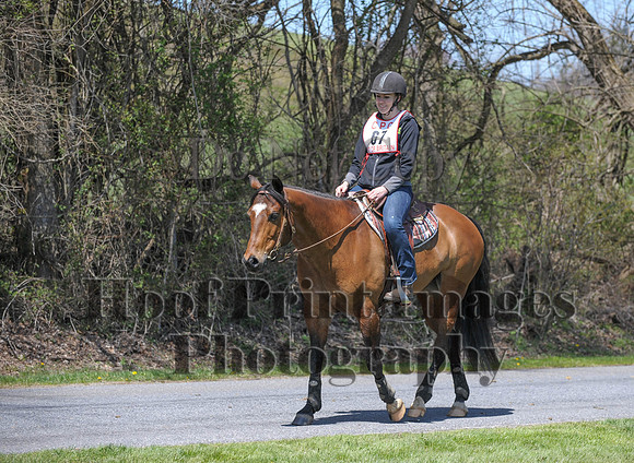 CheshirePC(4-16-16)0445