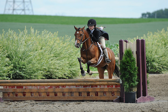 SC(6-28-14)SMPony0055