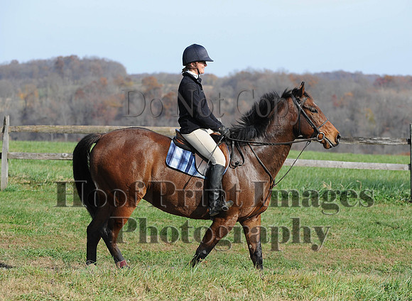 AndrewsBr(11-9-14)0333