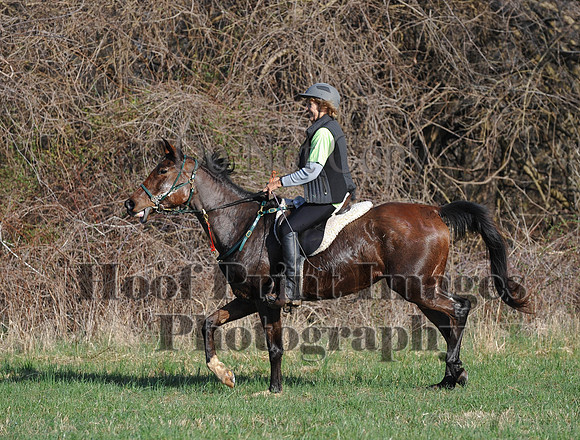 Foxcatcher(4-12-14)0586
