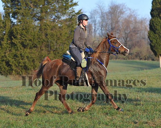 Foxcatcher(4-12-14)0446