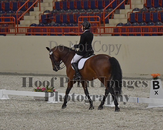 CWdressageII(8-21-16)0469