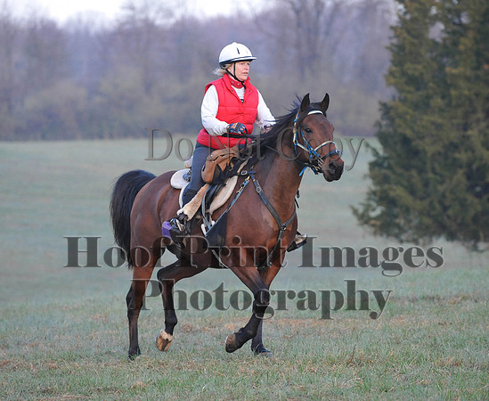 Foxcatcher(4-12-14)0098