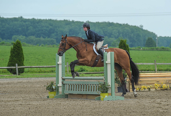 Lion(7-3-15)LowChAdHtr0134