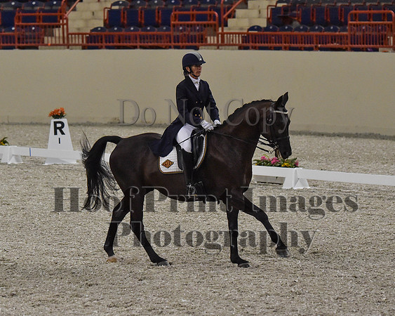CWdressageII(8-21-16)0721