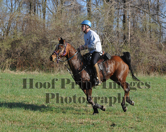 Foxcatcher(4-12-14)0549