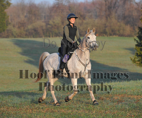 Foxcatcher(4-12-14)0272