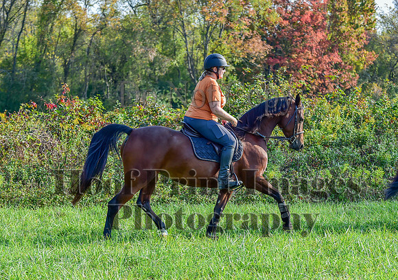 Born2Ride(10-13-24)0033