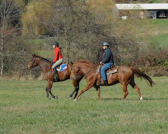 BHPC(11-15-15)0587