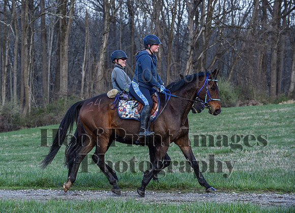 ChesapeakeSpring(4-10-22)0384