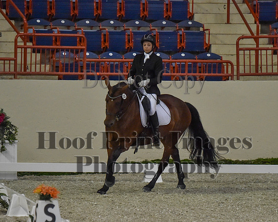 CWdressageII(8-21-16)0503
