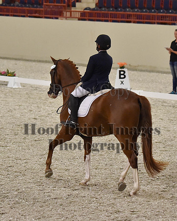 CWdressageII(8-21-16)1991