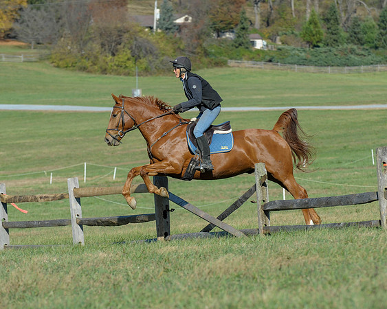 BHPC(11-15-15)0450