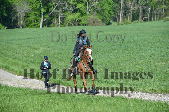 ChesapeakeSpring(4-27-25)0372