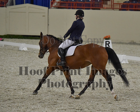CWdressageII(8-21-16)1383