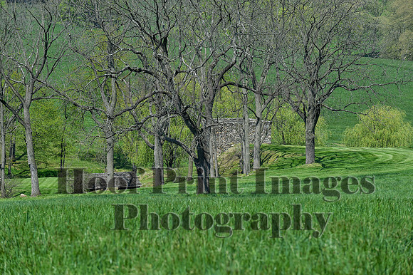 CheshireSpringPC1(4-28-24)0225
