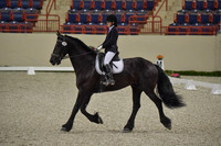 CWdressageI(8-20-16)0049