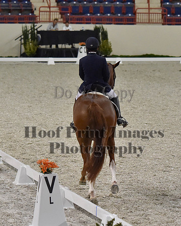 CWdressageII(8-21-16)2004
