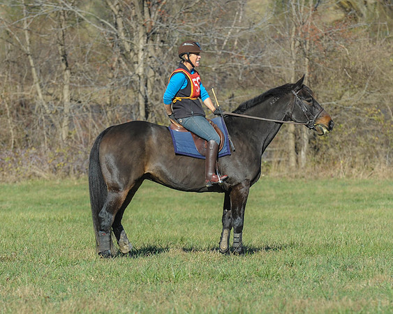BHPC(11-15-15)0069