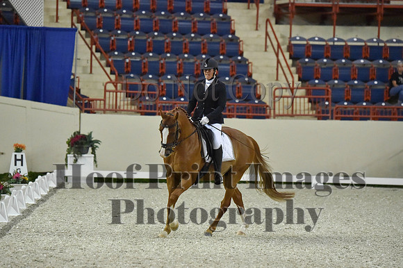 CWdressageI(8-20-16)0528