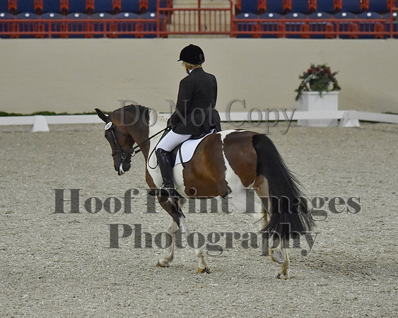 CWdressageII(8-21-16)1077