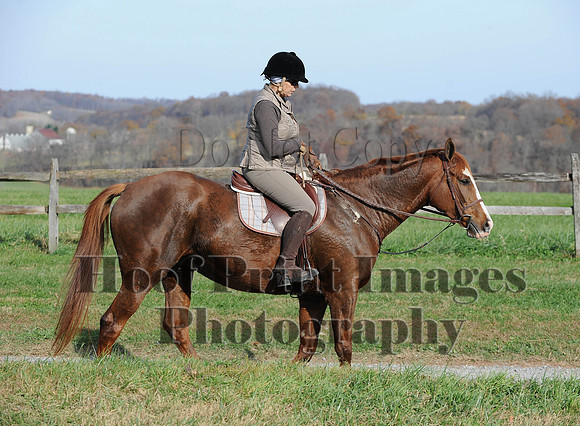 AndrewsBr(11-9-14)0614