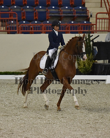 CWdressageII(8-21-16)1994
