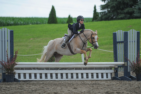 SC(6-28-14)SMPony0040
