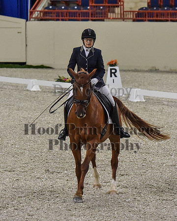CWdressageII(8-21-16)0261