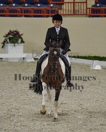 CWdressageII(8-21-16)1080